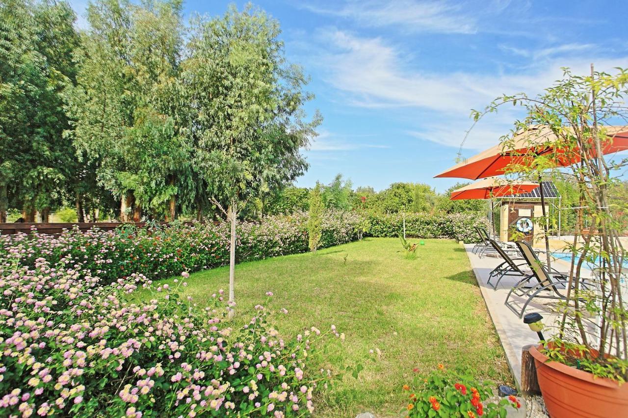 Villa Georgios Rafaela Polis المظهر الخارجي الصورة